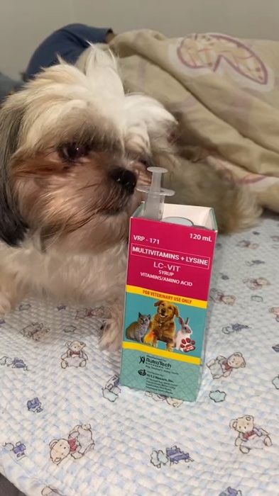 #vitamins #vitaminsfordogs #healthydog #dogfood #dogvitamins #FreeCoinsInShopeeVideo #MasMuraSaShopee #lcvit #multivitamins #multivitaminsyrup #fyp