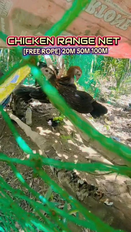 Chicken Net (Free Rope) Plant Fence Green Net Free Range Chicken Net 100 M/50M/20M#Freecoinsinshoppeevedio