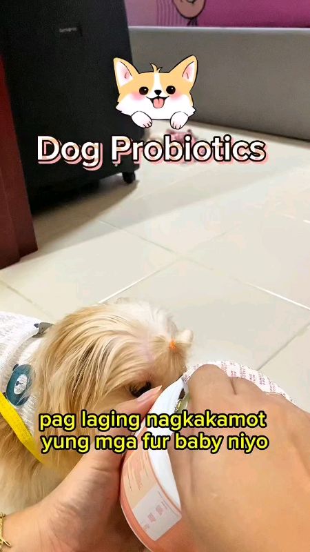 Keep your dogs healthy with Dog Probiotics #dog#probiotic #probiotics#viral#trending