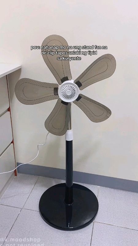 #standfan #fan