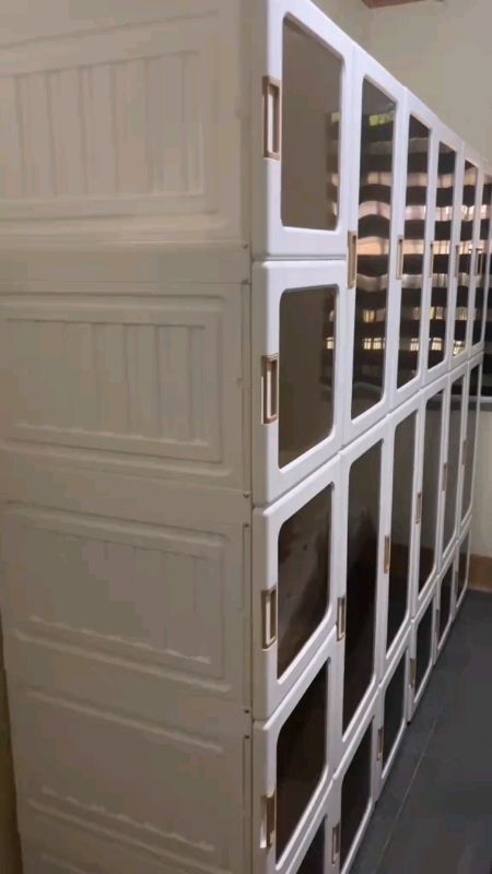 Antbox clothes cabinet#FreeCoinsInShopeeVideo #MasMuraSaShopee #antbox #clothescabinet #cabinet #plasticcabinet #trends #fyp #discount #voucher #sale