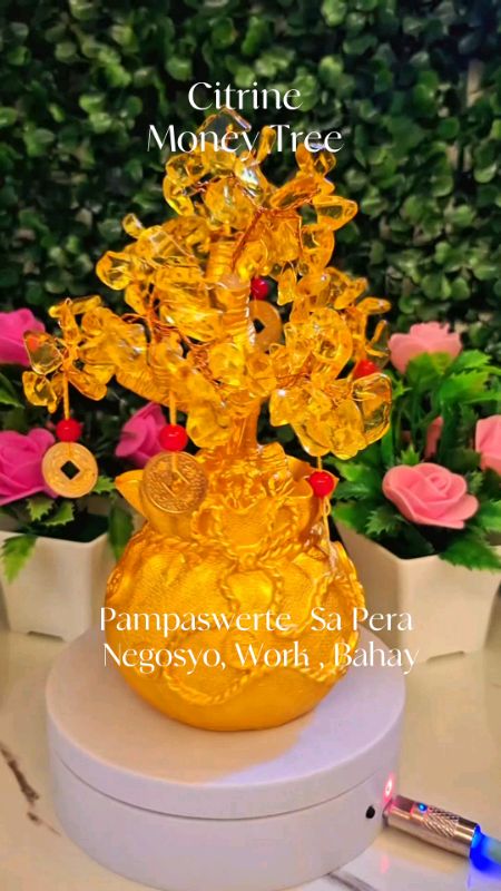 #FengShuiMoneyTree #LuckyCharm #WealthTree #GoodFortune #positiveenergy #shopeefinds #ShopeeFinds #HomeDecorPH