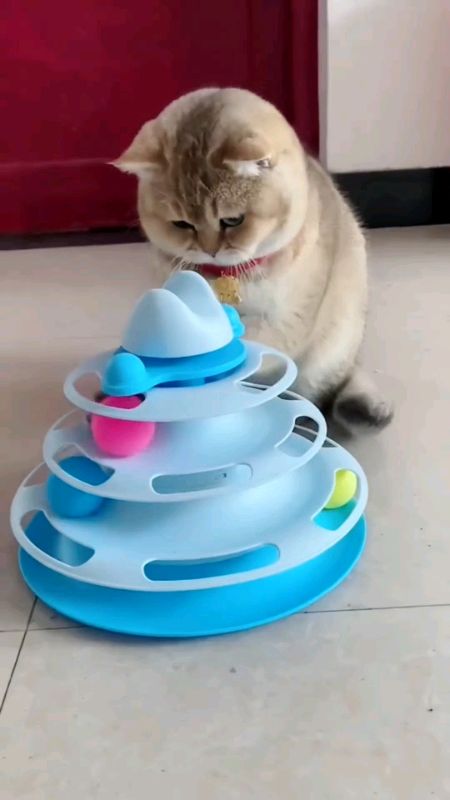 #interactive #4layer #cat #ball #tower  #Set #Finds #fyp #Trending #Viral #Musthave #Freecoinsinshopeevideo #MasMuraSaShopee