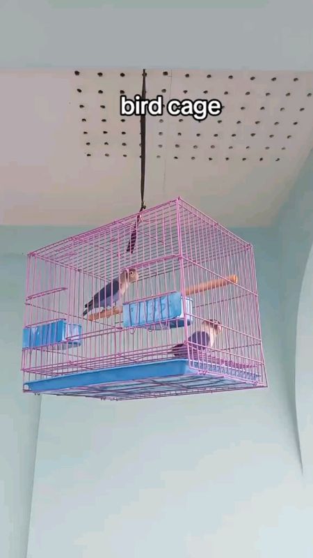 Detachable colored bird cage 10.6x7x5.5inch #matibay #affordable #trending #MURASASHOPEE #GOODQUALITY