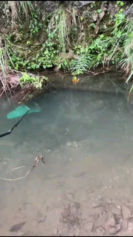 #Electric#FishingMachine#MasMuraSaShopee#FreeCoinsInShopeeVideo#BuyNow