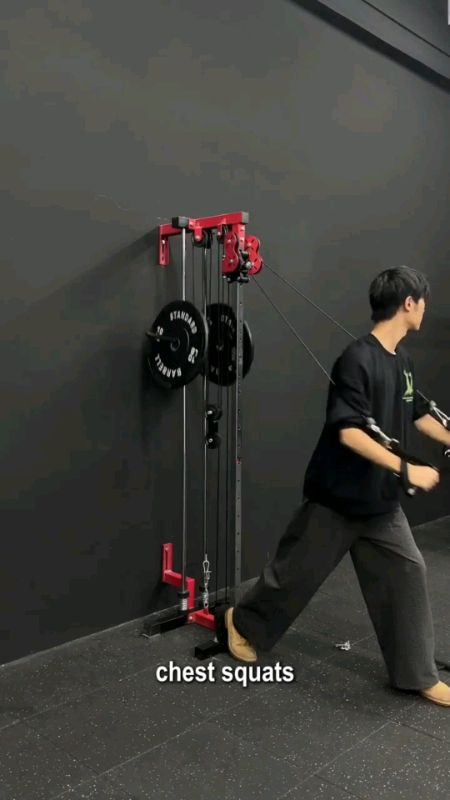 #LocalDelivery #Dual #Pulley #CableMachine #HomeGym  #LAT #PullDown #Triceps #Pushdown #Biceps #Curl | #Adjustable #Stainless #Steel #System, #Space
