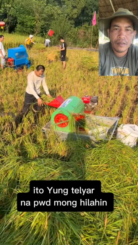 sehold Full feed rice and wheat thresher #farmers