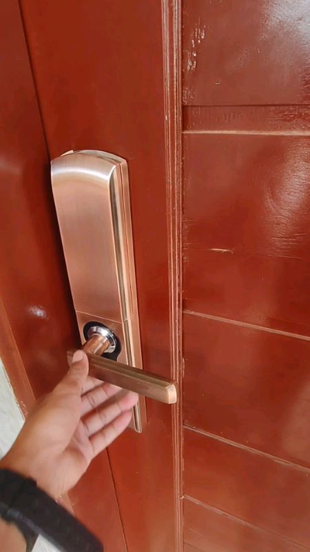 smart automatic slinding door lock #smartdoorlock #recommended #FreeCoinInShoppeVideo #MasMuraSaShopee