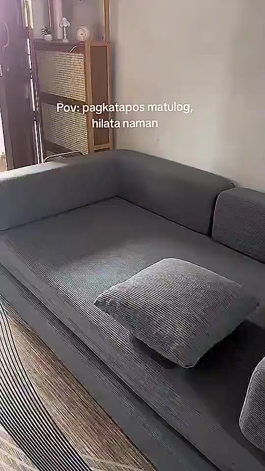 Modern Sofa Bed