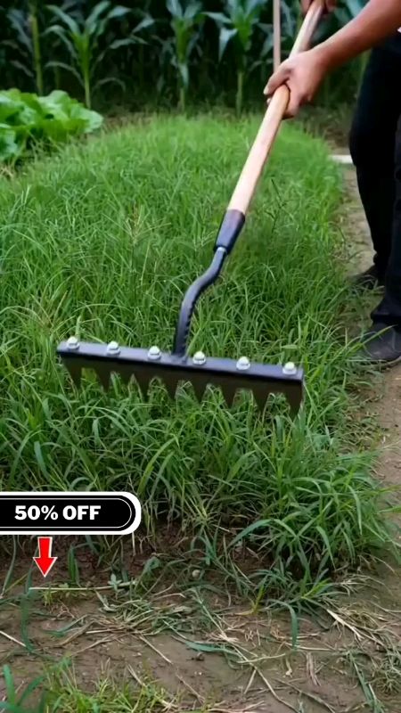 5/7/8-Tooth Weeding Rake - Double Reinforced Garden Tool for Soil Loosening, Farm & Yard Work#trend #ShopeePHPaydaySale #MasMuraSaShopee #FreeCoinsInS