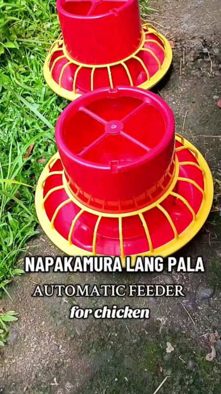 Quality pero mura na automatic feeder for chicken. Magandang gamitin para sa alaga nating mga manok