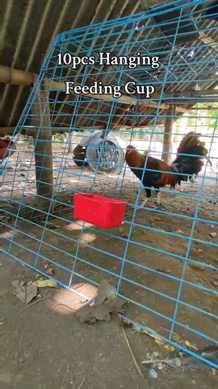 #HugotSaShopee 10pcs hanging feeding cup durable watener for Birds #chickenfeeder cups  #viral #trending #fyp
