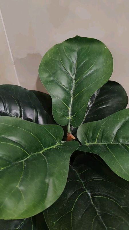 #artificialplants #realisticplants #plasticplants #artificial #plants #realistic #plastic #trending #trends #affliate  #budolfinds #greenhouse #luxury