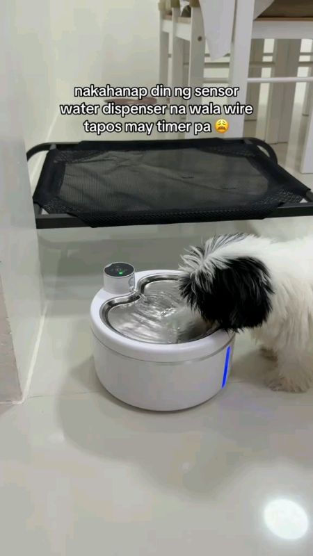 Smart Stainless Steel Cat Water Fountain #AutomaticCirculating #PetDrinkingDispenserforcatanddog #masmurasashopee#ShopeePhpaydaysale #hugotsashopee