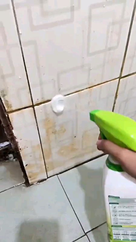 Seaways All-purpose cleaner Cleaner Strong Decontamination Descaling Oven Cleaning Spray