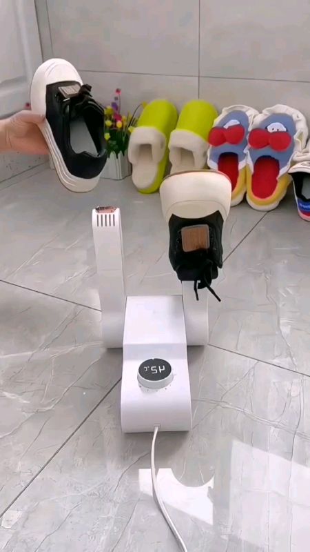 #MasMuraSaShopee #shoedryer