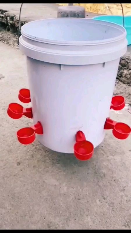 Chicken waterer water cups automatic waterer cup chicken cup #freecoinsinshopeevedio #masmurasashopee #watercups #chikencup #automaticwaterer #cups