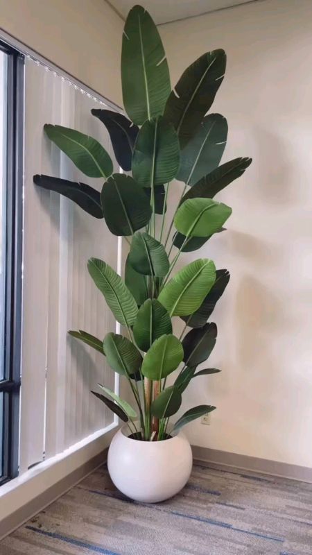 ARTIFICIAL PLANTS #viral #fyp #trending #FreeCoinsInShopeeVideo #MasMuraSaShopee