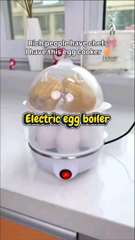 Electric egg boiler #steamer #boiler #multifunctional #electric #trending #fyp #FreeCoinsInShopeeVideo #MasMuraSaShopee