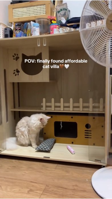 Cat Cage Cat Villa Pet Home Cat Cabinet Solid Wood Cat litter Large Space Luxury Cat House Condo Hotel #Cat #FreeCoinsInShopeeVideo