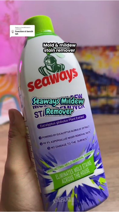 ￼Seaways Mildew Remover 480ml Moldstains And Spotsthroughout House Stain Mold Remover Spray #trending #paydaysale