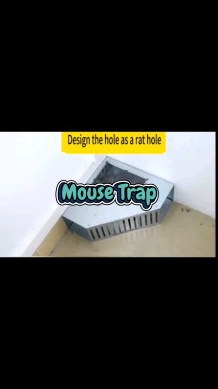 Mouse Trap Genius design #mouse #trap #mousetrap #doubledoor #triangular #automatic #Mice #hunting #multiple #trending #easy #design #genius
