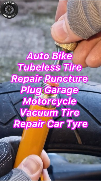 Auto Bike Tubeless Tire Repair Puncture Plug Garage Motorcycle Vacuum Tire Repair Car Tyre #FreeCoinsInShopeeVideo
