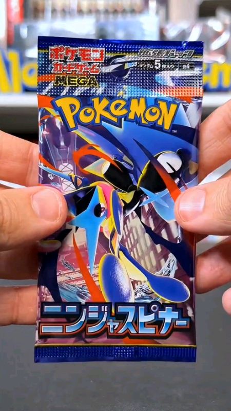Pokemon Ninja Spinner